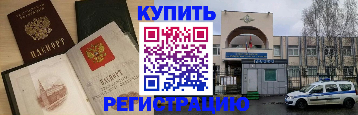 прописка законно в Борзе